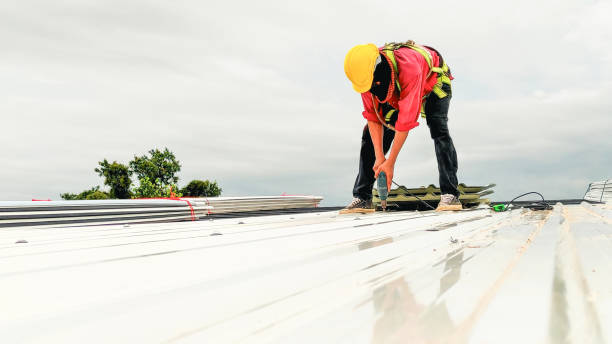 Best Skylight Installation and Repair  in Chino Valley, AZ